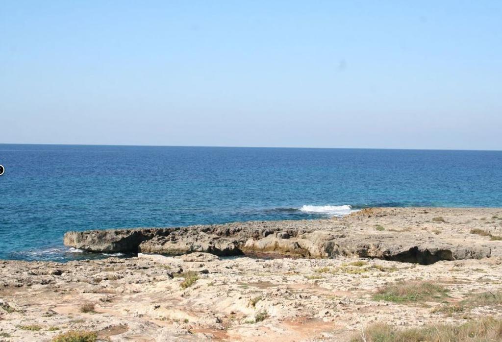 Complesso Gardencasa Holiday home